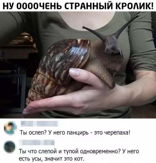 Смешная картинка №495110