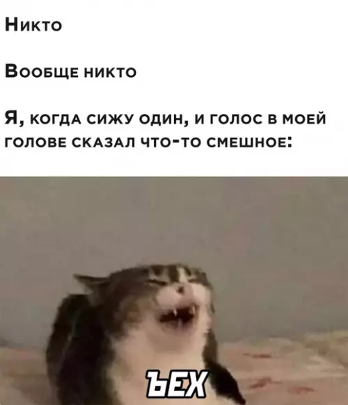 Смешная картинка №538506