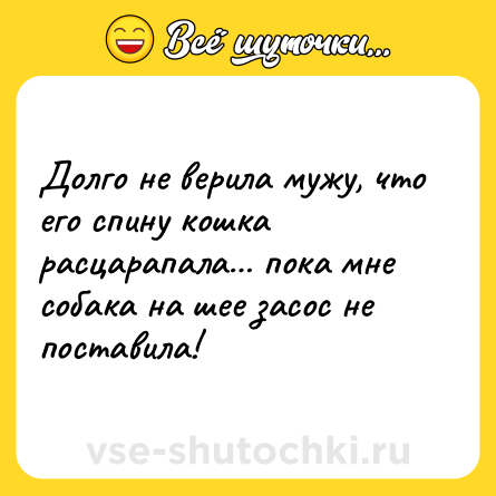 Шутка: Долго не верила мужу, что его спину кошка расцарапала… пока мне собака на шее засос не поставила!