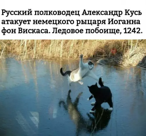 Смешная картинка №266401