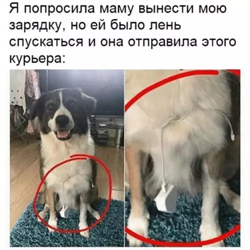 Смешная картинка №271626