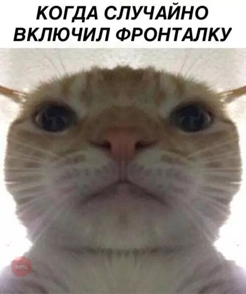 Смешная картинка №267610