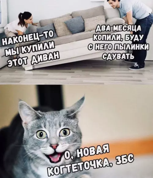 Смешная картинка №538602
