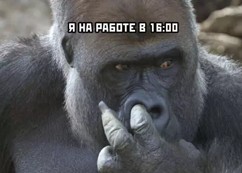 продолжение Смешная картинка №627626 Работа не волк, в лес не убежит Работа