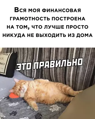 Смешная картинка №639069