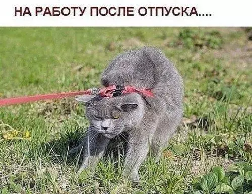 Смешная картинка №195209