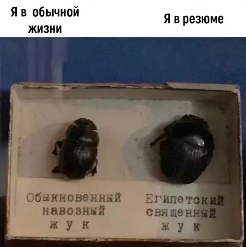 Смешная картинка №725370 Работа