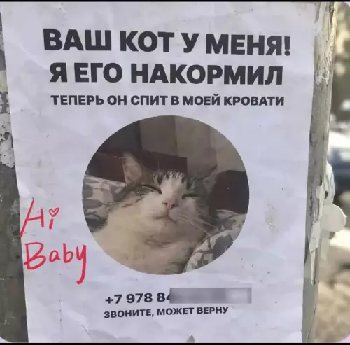 Кот захватил мою кровать! 🐈😂 - ВАШ КОТ У МЕНЯ! Я ЕГО НАКОРМИЛ ТЕПЕРЬ ОН СПИТ
