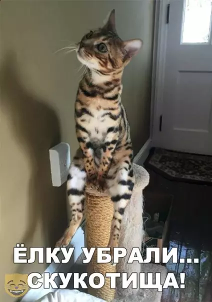 Смешная картинка №329828
