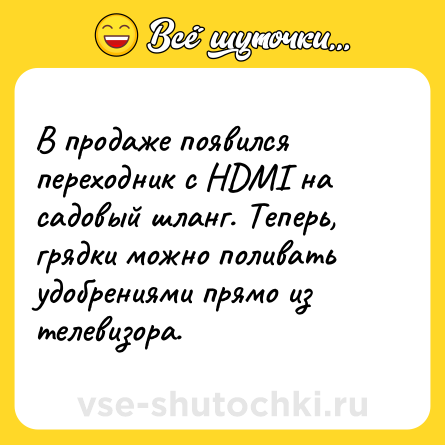 Шутка: В продаже появился переходник с НDМI на садовый шланг. Теперь, грядки можно поливать удобрениями прямо из телевизора.
