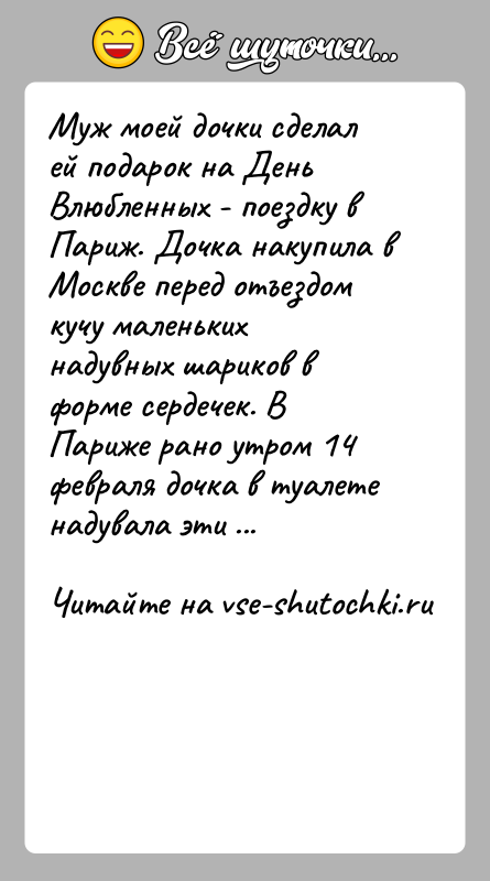История: Муж моей дочки сделал ей подарок на День Влюбленных - поездку в Париж. Дочка накупила в Москве перед отъездом кучу