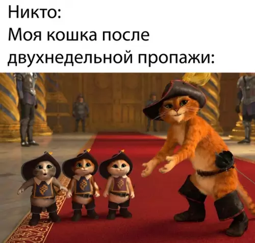 Смешная картинка №485949