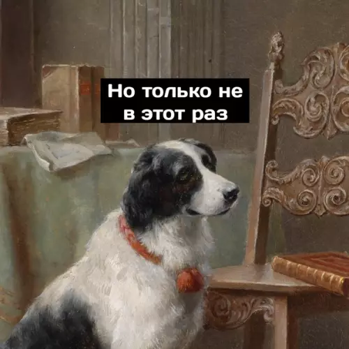продолжение Смешная картинка №578304 Xopoший мaльчик Собаки