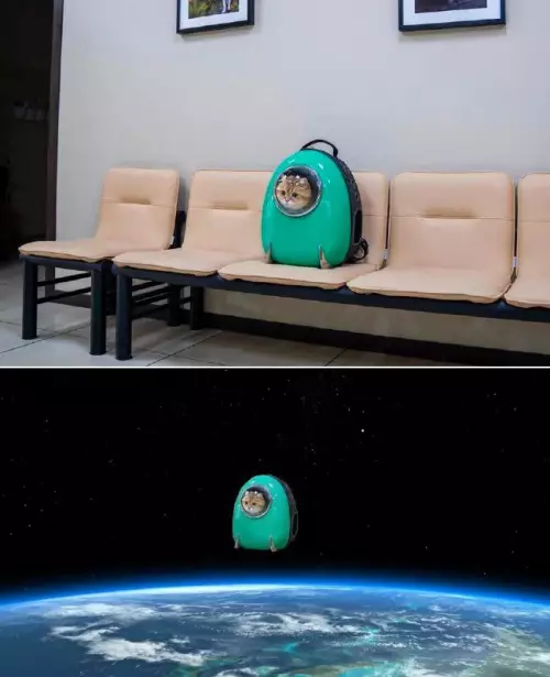 Смешная картинка №679342