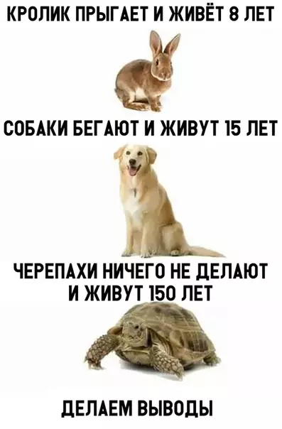 Смешная картинка №316798