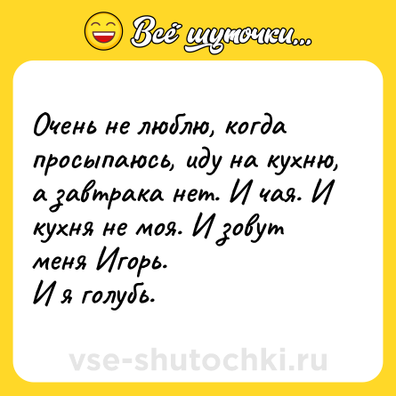 Шутка: Очень не люблю, когда просыпаюсь, иду на кухню, а завтрака нет. И чая. И кухня не моя. И зовут меня Игорь. <br>И я голубь.