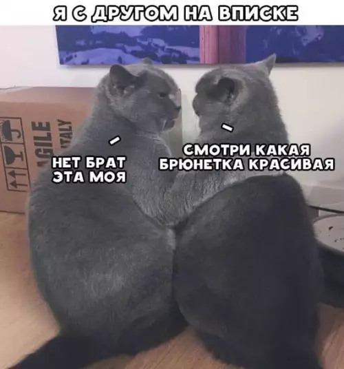 Смешная картинка №454320