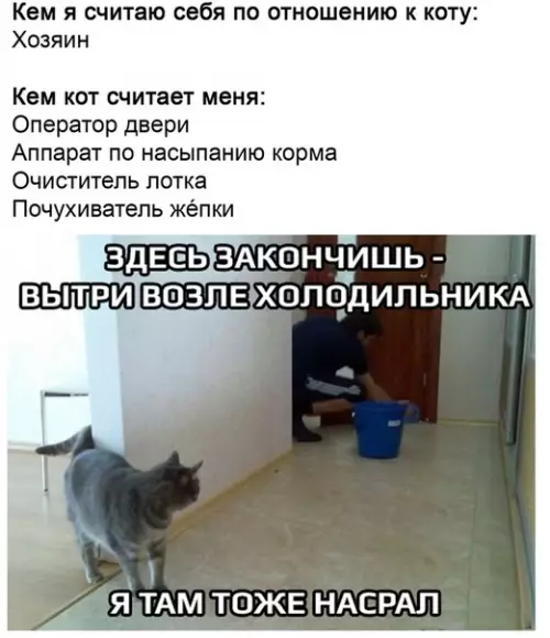 Смешная картинка №513397 Почувствуй разницу.