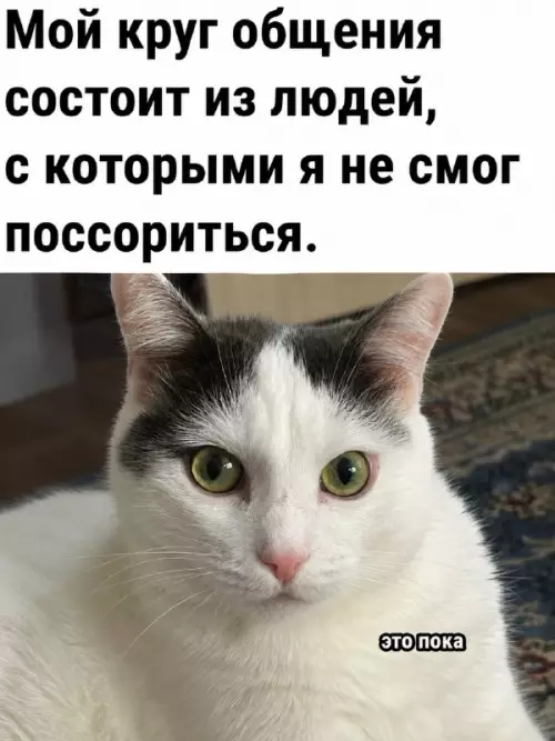 Мой круг общения: уровень сложности — бог 😎 - Мой круг общения состоит из людей, с которыми я не