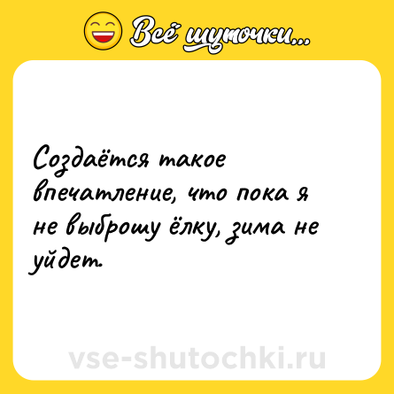 Шутка: Создаётся такое впечатление, что пока я не выброшу ёлку, зима не уйдет.