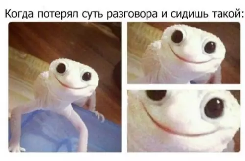 Смешная картинка №252829