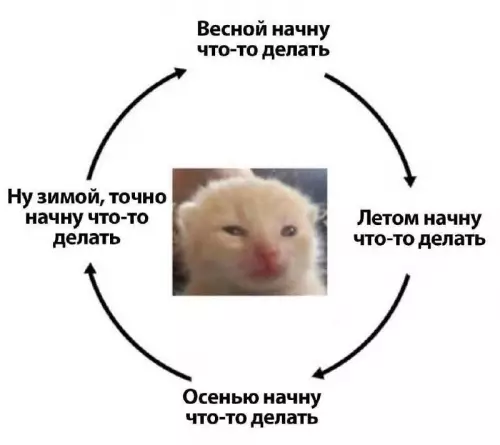 Вечный цикл прокрастинации 🔄😿 - Весной начну что-то делать Летом начну что-то делать Осенью начну