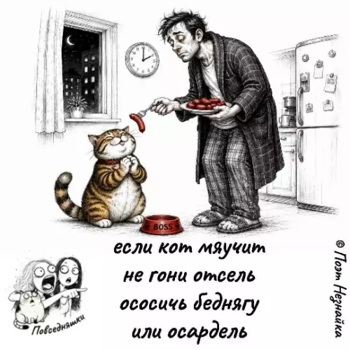 Кот — твой босс! 😼👑 - если кот мяучит не гони отсель ососишь беднягу или оскардель