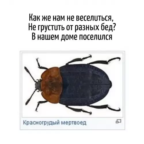 Смешная картинка №785603