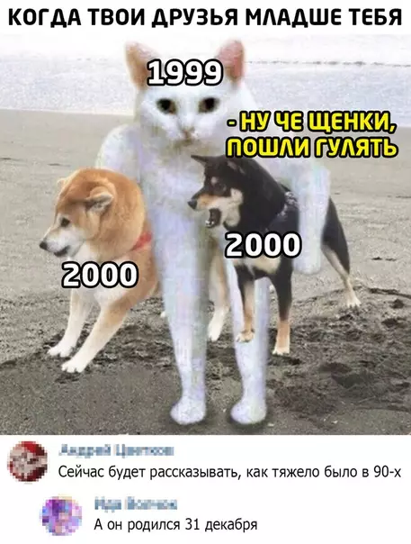 Смешная картинка №506516