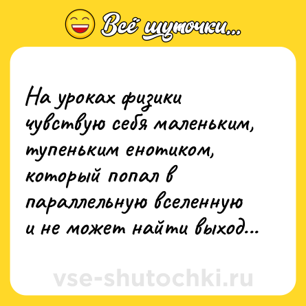 Шутка: На уроках физики чувствую себя маленьким, тупеньким енотиком, который попал в параллельную вселенную и не может найти выход...