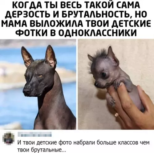 Смешная картинка №508719 Такие дела