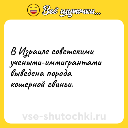 Шутка: В Израиле советскими учеными-иммигрантами выведена порода кошерной свиньи.