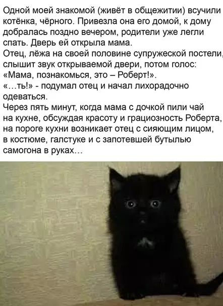 Смешная картинка №496773 Heлoвкo пoлyчилocь.