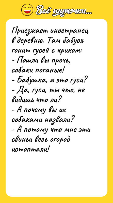 Приезжает иностранец в деревню. Там бабуся гонит гусей с криком: