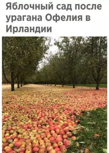 Смешная картинка №217264