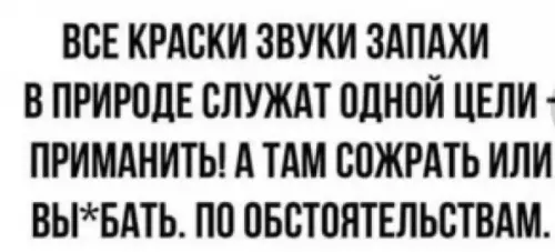 Приманка и обстоятельства