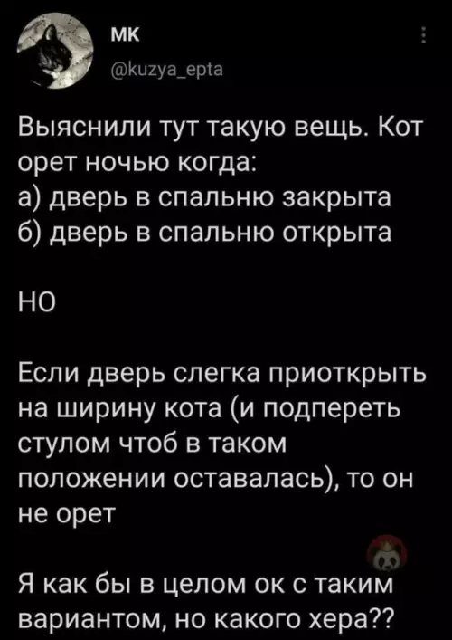 Смешная картинка №616958 Очень странные они, согласны?