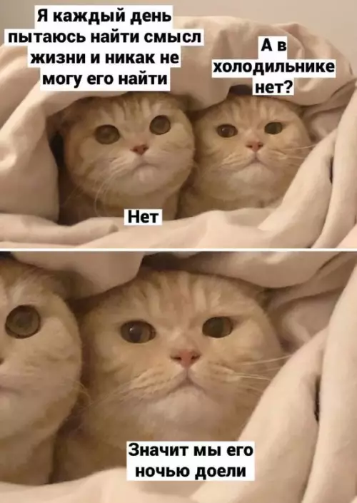 Смешная картинка №685089