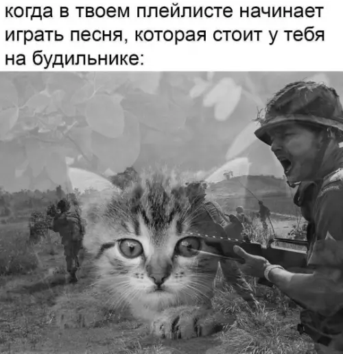 Смешная картинка №788941