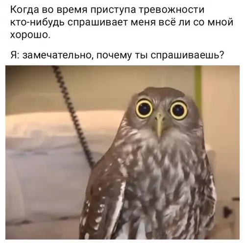 Смешная картинка №624058