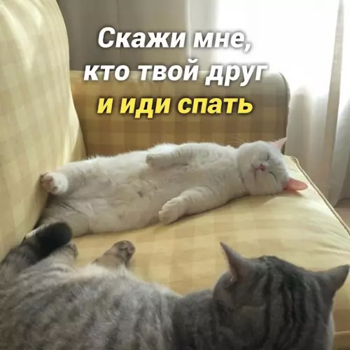 продолжение Смешная картинка №657200 Myдpocть дня: