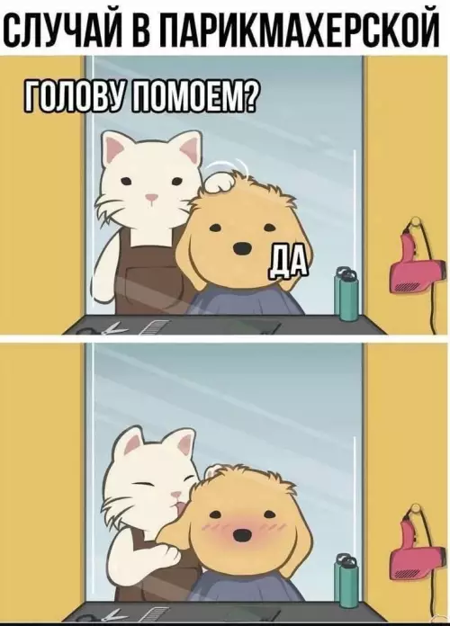 Смешной момент в парикмахерской