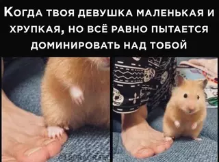 Смешная картинка №662889