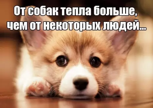 Смешная картинка №209342