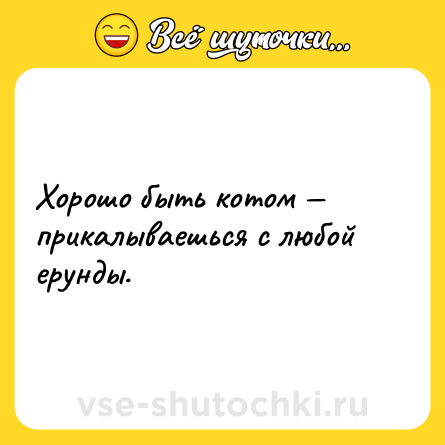 Шутка: Хорошо быть котом — прикалываешься с любой ерунды.