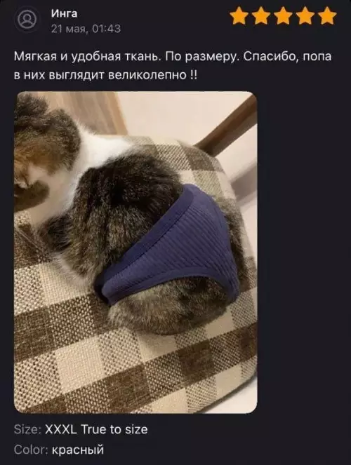 Смешная картинка №718185