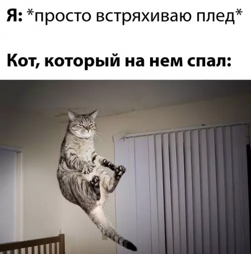 Смешная картинка №616994