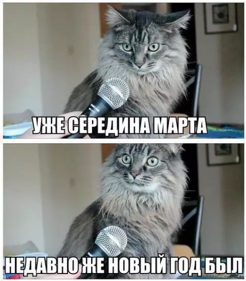 Смешная картинка №256157