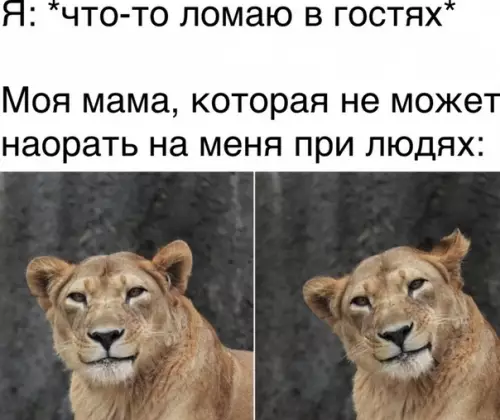 Смешная картинка №510734