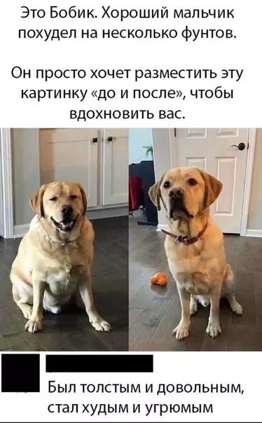 Смешная картинка №534116